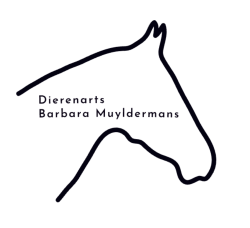 Afbeelding › DAP Barbara Muyldermans