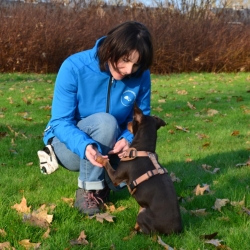 Afbeelding › Huisdierentherapie